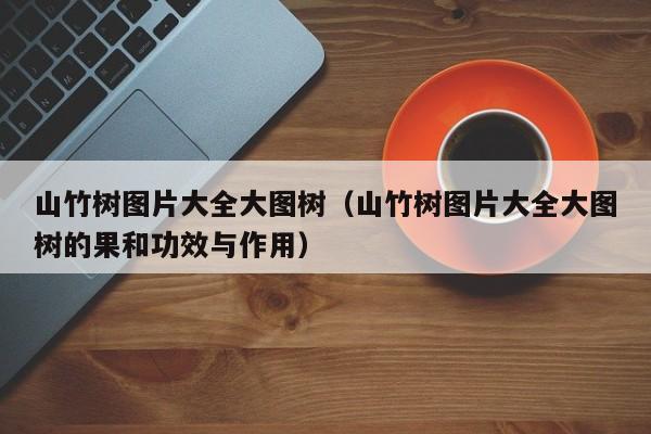 山竹树图片大全大图树（山竹树图片大全大图树的果和功效与作用）