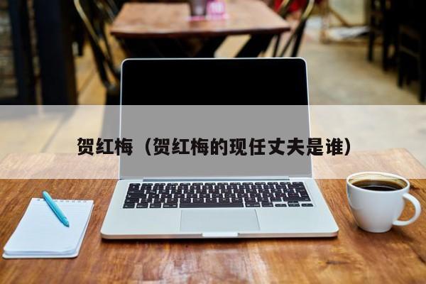 贺红梅（贺红梅的现任丈夫是谁）