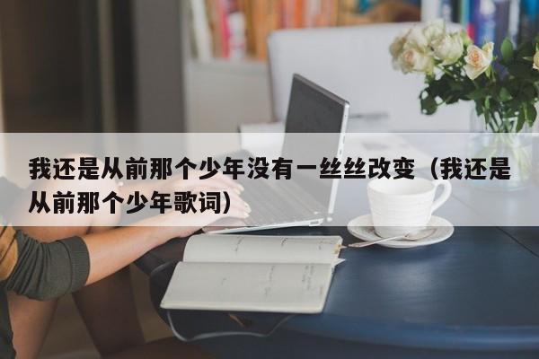 我还是从前那个少年没有一丝丝改变（我还是从前那个少年歌词）