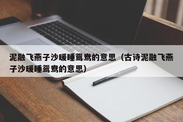 泥融飞燕子沙暖睡鸳鸯的意思（古诗泥融飞燕子沙暖睡鸳鸯的意思）