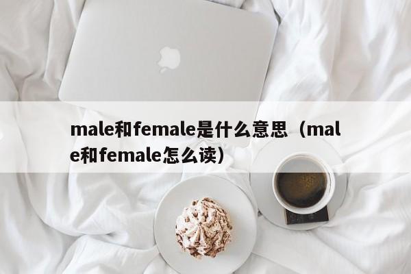 male和female是什么意思（male和female怎么读）