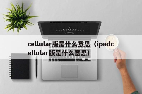 cellular版是什么意思（ipadcellular版是什么意思）