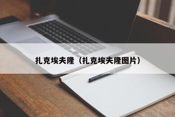 扎克埃夫隆（扎克埃夫隆图片）
