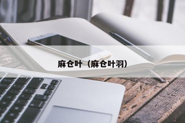 麻仓叶（麻仓叶羽）