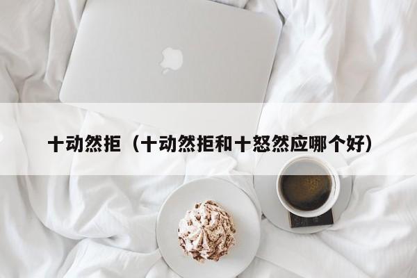 十动然拒（十动然拒和十怒然应哪个好）