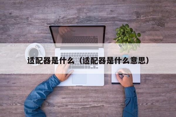 适配器是什么（适配器是什么意思）