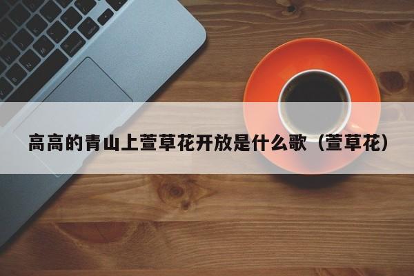 高高的青山上萱草花开放是什么歌（萱草花）