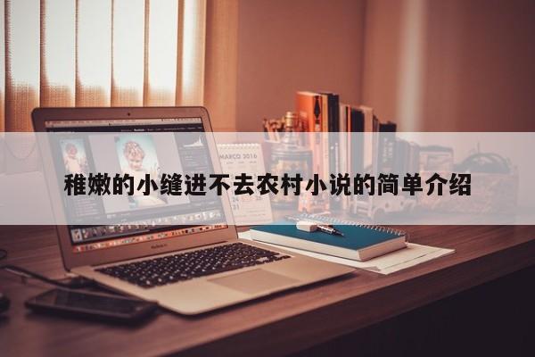 稚嫩的小缝进不去农村小说的简单介绍