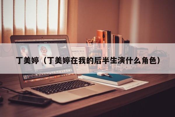 丁美婷（丁美婷在我的后半生演什么角色）