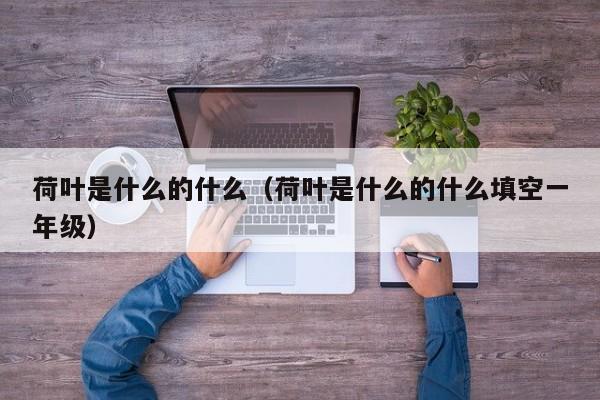 荷叶是什么的什么（荷叶是什么的什么填空一年级）