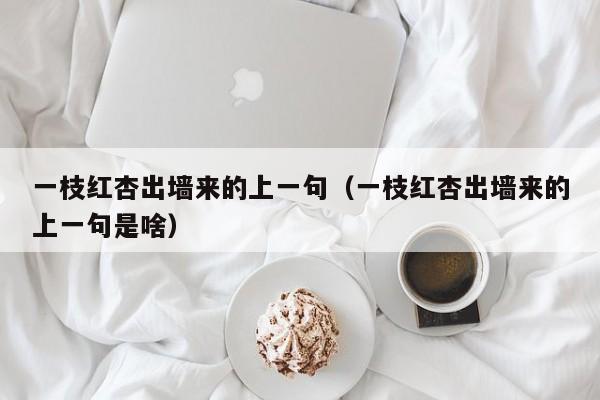 一枝红杏出墙来的上一句（一枝红杏出墙来的上一句是啥）