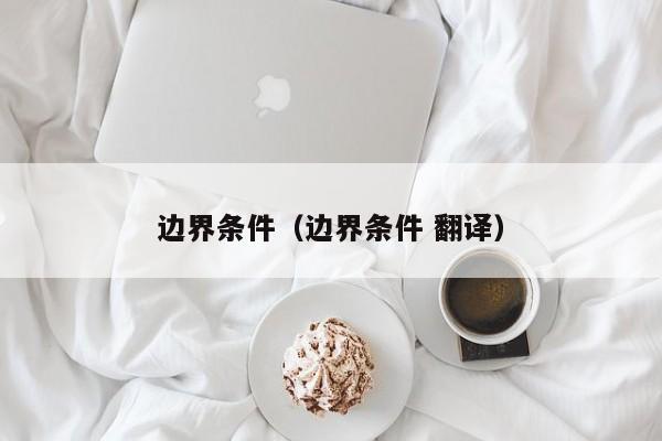 边界条件（边界条件 翻译）