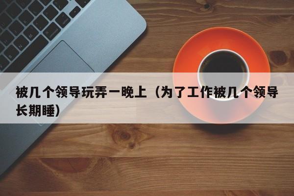 被几个领导玩弄一晚上（为了工作被几个领导长期睡）