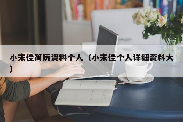 小宋佳简历资料个人（小宋佳个人详细资料大）