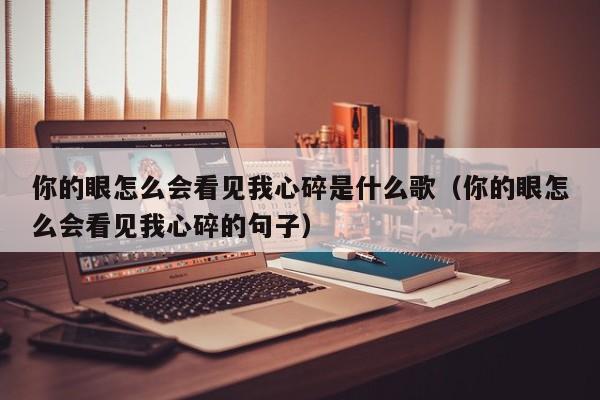 你的眼怎么会看见我心碎是什么歌（你的眼怎么会看见我心碎的句子）