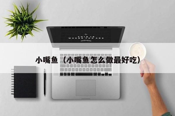 小嘴鱼（小嘴鱼怎么做最好吃）