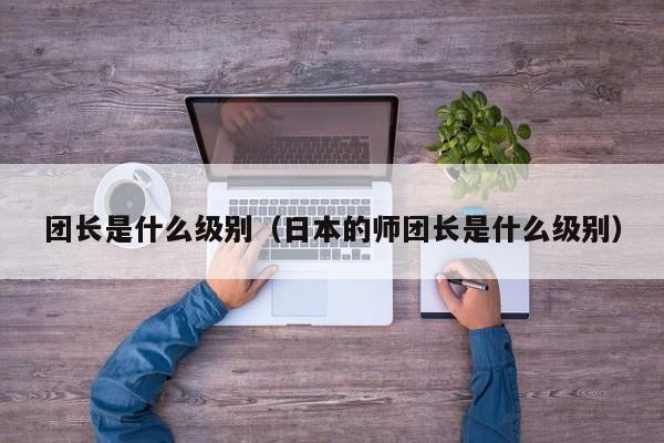 团长是什么级别（日本的师团长是什么级别）