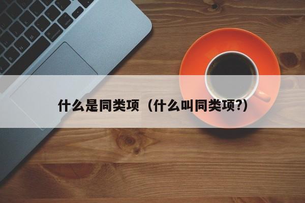 什么是同类项（什么叫同类项?）
