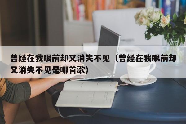 曾经在我眼前却又消失不见（曾经在我眼前却又消失不见是哪首歌）