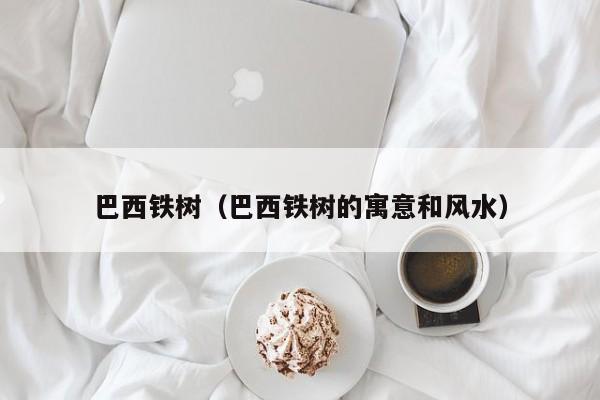 巴西铁树（巴西铁树的寓意和风水）