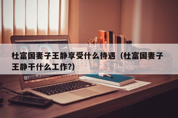 杜富国妻子王静享受什么待遇（杜富国妻子 王静干什么工作?）