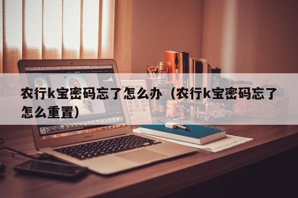 农行k宝密码忘了怎么办（农行k宝密码忘了怎么重置）