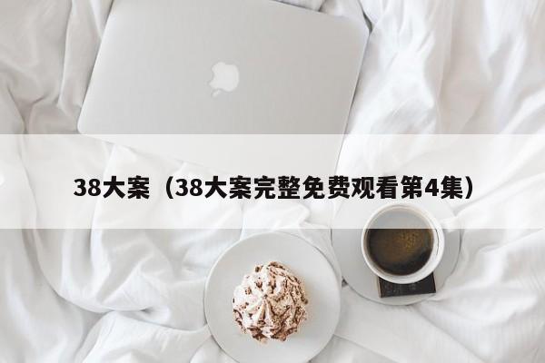 38大案（38大案完整免费观看第4集）