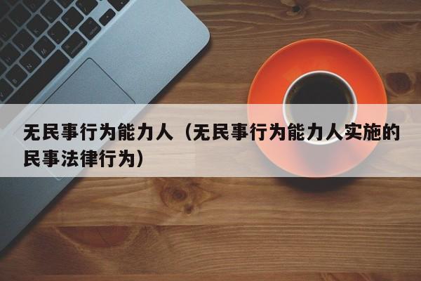无民事行为能力人（无民事行为能力人实施的民事法律行为）