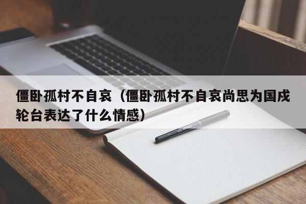 僵卧孤村不自哀（僵卧孤村不自哀尚思为国戍轮台表达了什么情感）