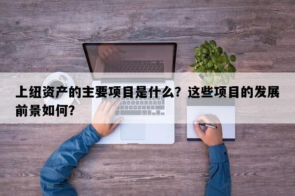 上纽资产的主要项目是什么？这些项目的发展前景如何？
