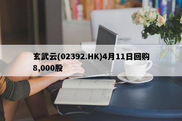 玄武云(02392.HK)4月11日回购8,000股