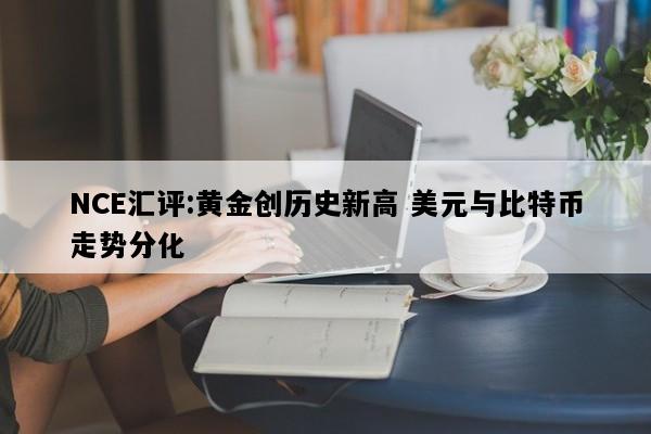 NCE汇评:黄金创历史新高 美元与比特币走势分化