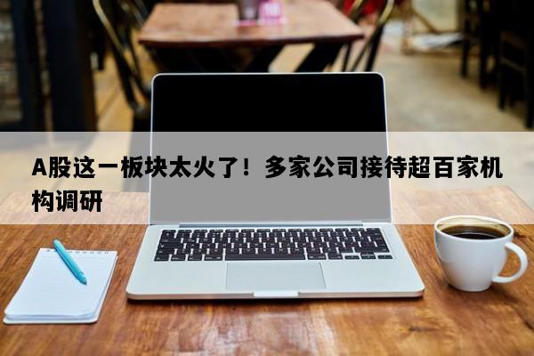 A股这一板块太火了！多家公司接待超百家机构调研