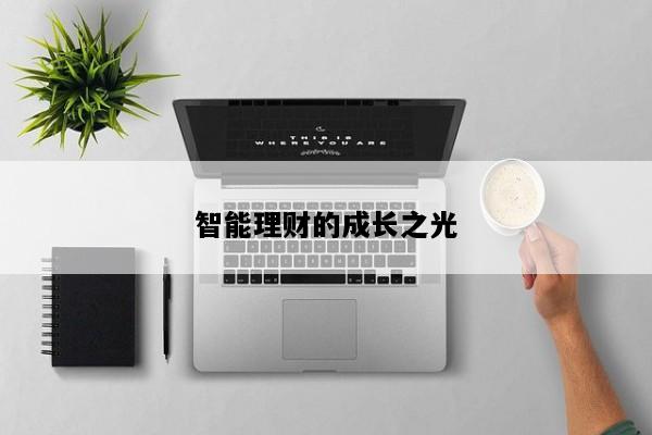 智能理财的成长之光