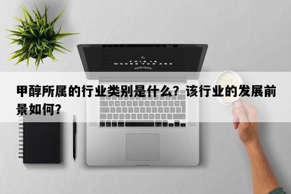 甲醇所属的行业类别是什么？该行业的发展前景如何？
