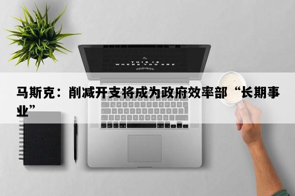 马斯克：削减开支将成为政府效率部“长期事业”