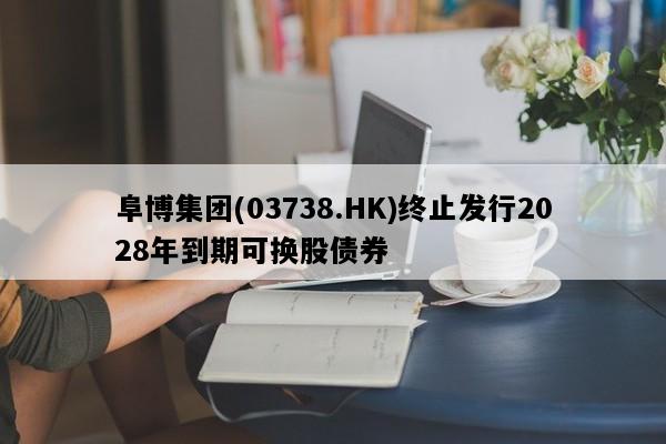 阜博集团(03738.HK)终止发行2028年到期可换股债券