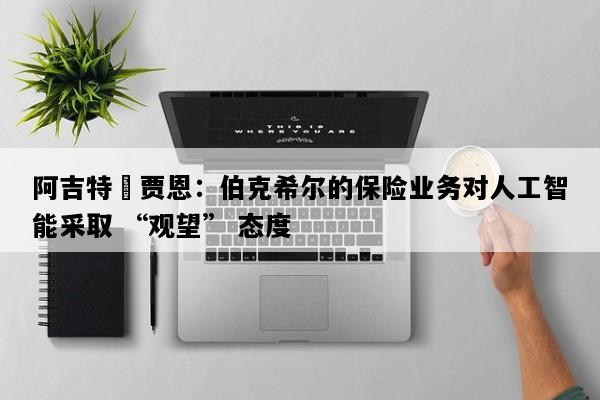 阿吉特・贾恩：伯克希尔的保险业务对人工智能采取 “观望” 态度