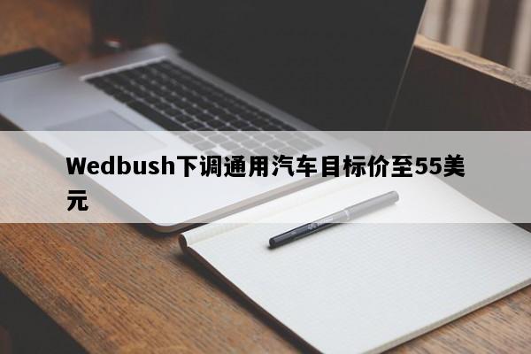 Wedbush下调通用汽车目标价至55美元