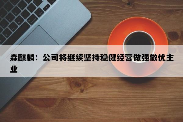 森麒麟：公司将继续坚持稳健经营做强做优主业