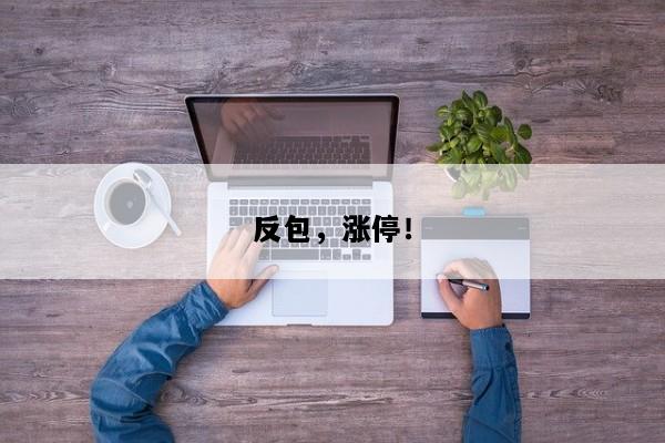 反包，涨停！