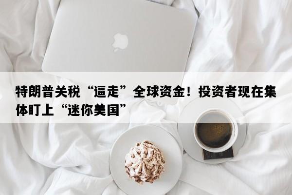 特朗普关税“逼走”全球资金！投资者现在集体盯上“迷你美国”