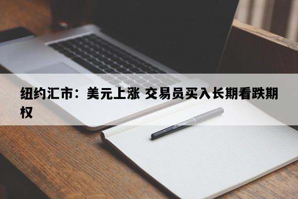 纽约汇市：美元上涨 交易员买入长期看跌期权
