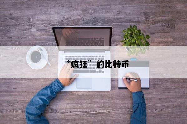 “疯狂”的比特币