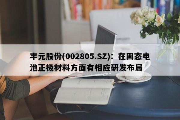 丰元股份(002805.SZ)：在固态电池正极材料方面有相应研发布局