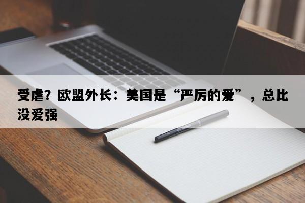 受虐？欧盟外长：美国是“严厉的爱”，总比没爱强