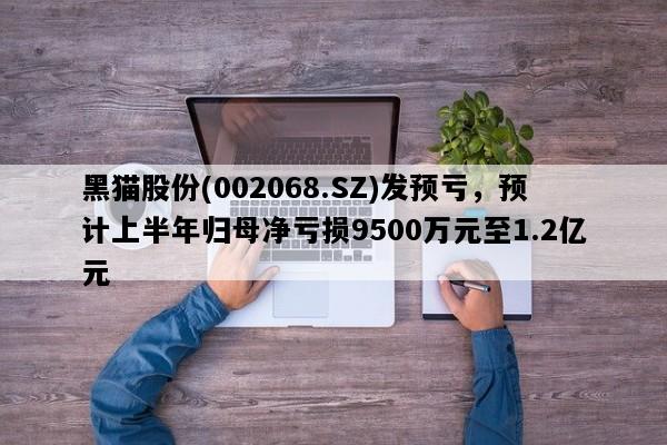 黑猫股份(002068.SZ)发预亏，预计上半年归母净亏损9500万元至1.2亿元