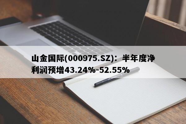 山金国际(000975.SZ)：半年度净利润预增43.24%-52.55%