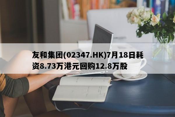 友和集团(02347.HK)7月18日耗资8.73万港元回购12.8万股
