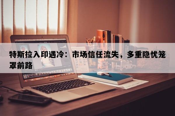 特斯拉入印遇冷：市场信任流失，多重隐忧笼罩前路